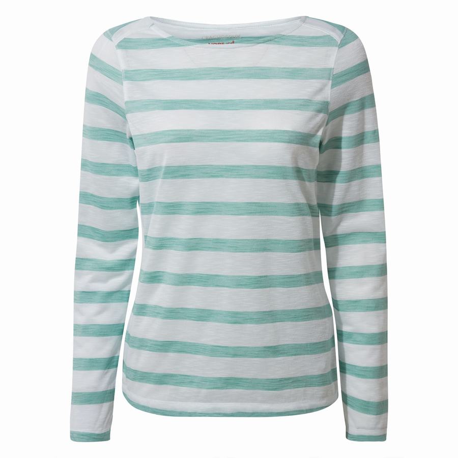 T Shirts Craghoppers NosiLife Erin Long Sleeved Turquoise Stripes Femme | MVB-0158883