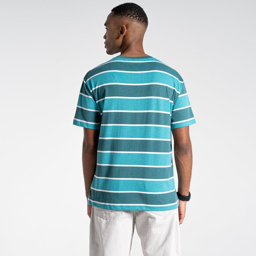 T Shirts Craghoppers Ventura Corta Sleeved Vert Stripes Femme | WXY-8180007