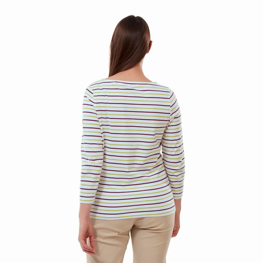 T Shirts Craghoppers Blanca 3/4 Sleeved Top Vert Clair Stripes Femme | LOU-4139959