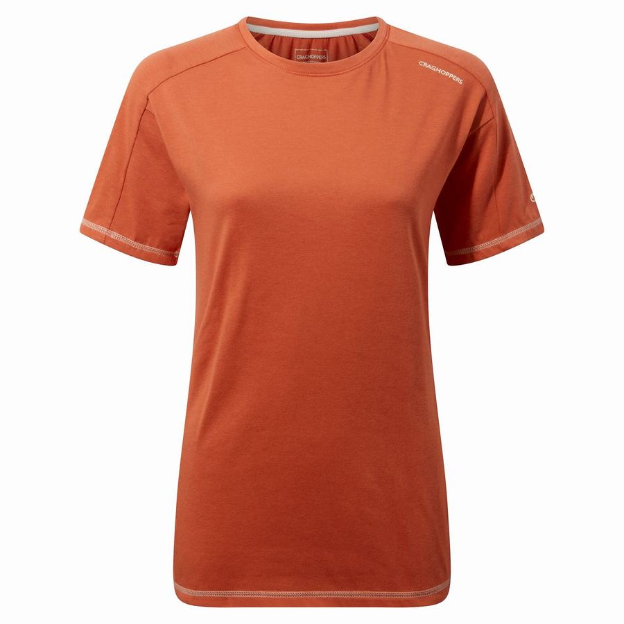 T Shirts Craghoppers Dynamic Corta Sleeved Warm Ginger Orange Femme | CXI-7251085