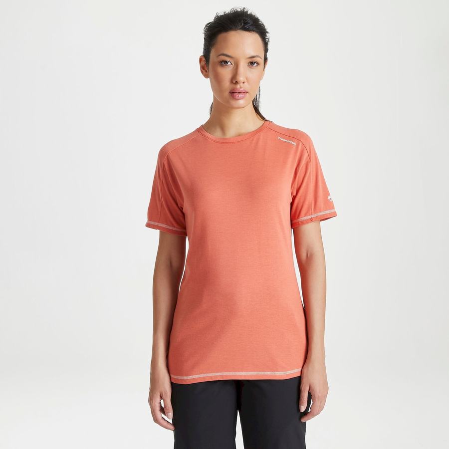 T Shirts Craghoppers Dynamic Corta Sleeved Warm Ginger Orange Femme | CXI-7251085