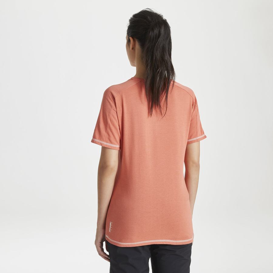 T Shirts Craghoppers Dynamic Corta Sleeved Warm Ginger Orange Femme | CXI-7251085