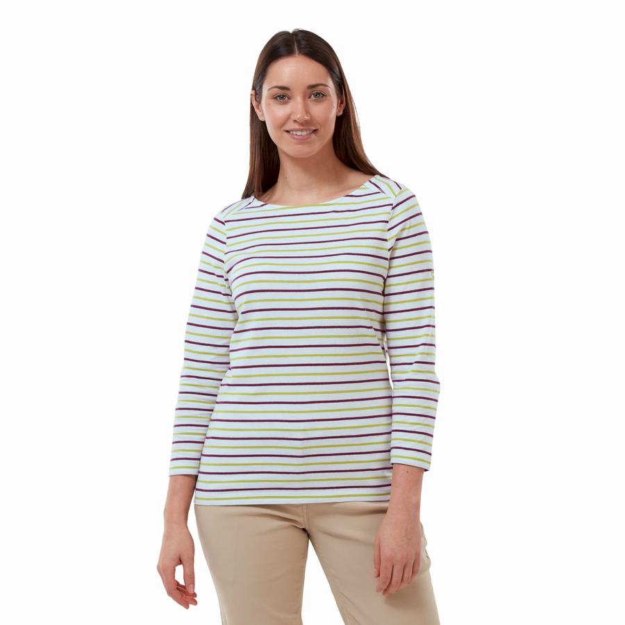 T Shirts Craghoppers Blanca 3/4 Sleeved Top Vert Clair Stripes Femme | LOU-4139959