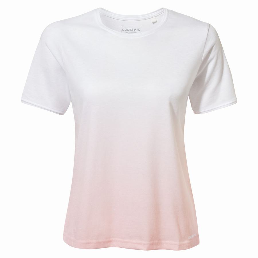 T Shirts Craghoppers Ilyse Corta Sleeved Rose Femme | QFC-5449048