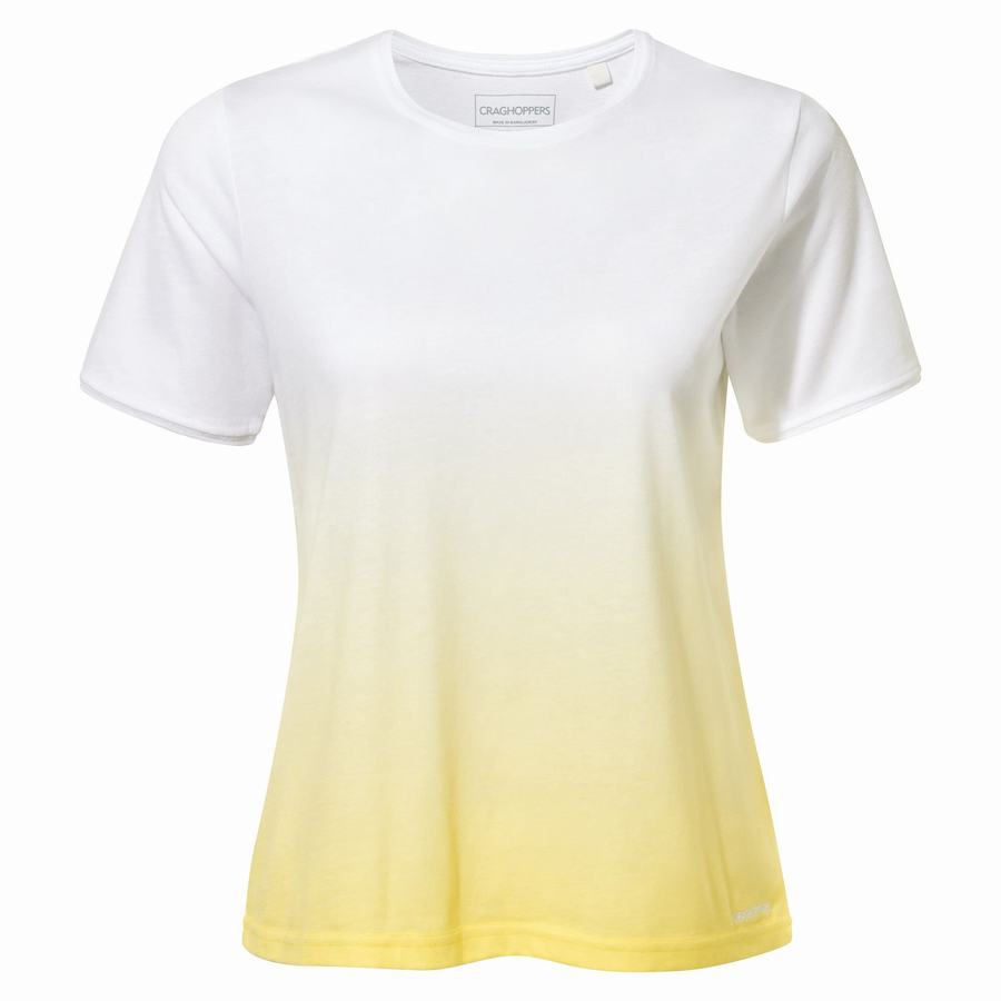 T Shirts Craghoppers Ilyse Corta Sleeved Blanche Jaune Femme | QXO-5542730