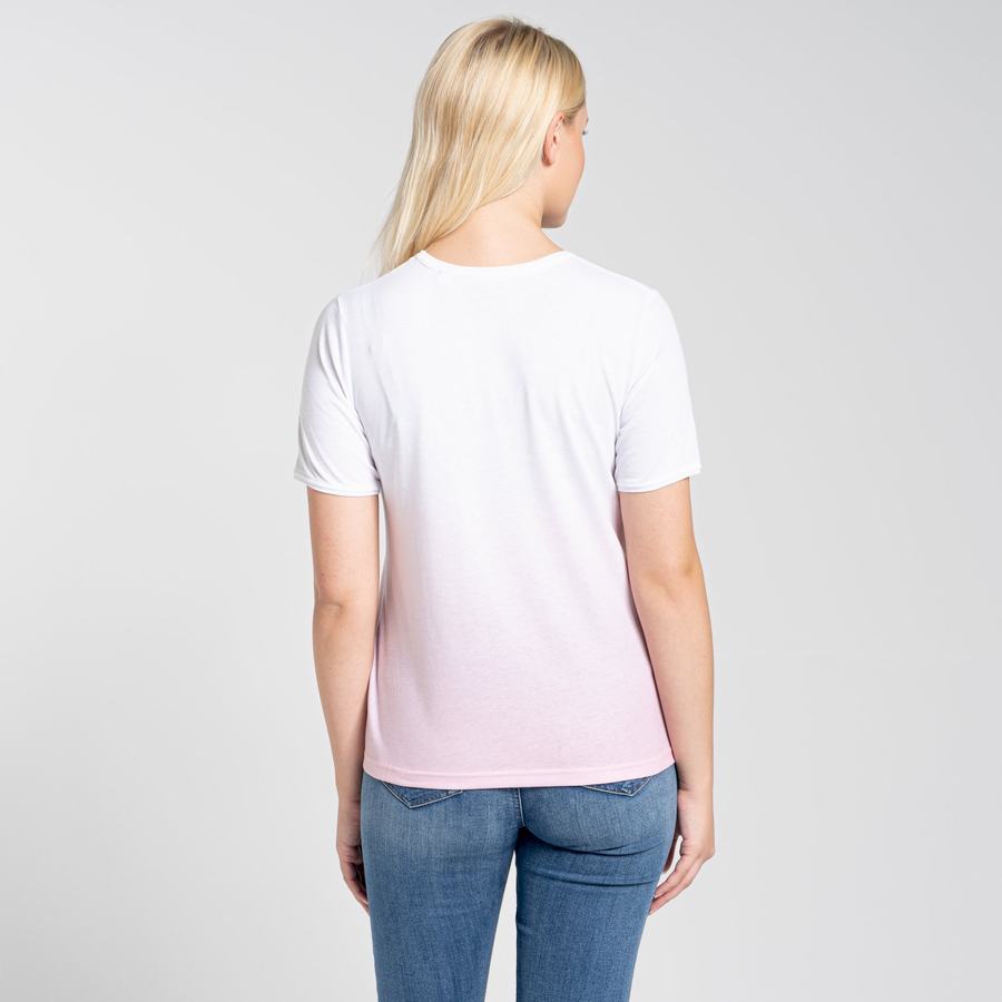 T Shirts Craghoppers Ilyse Corta Sleeved Rose Femme | QFC-5449048