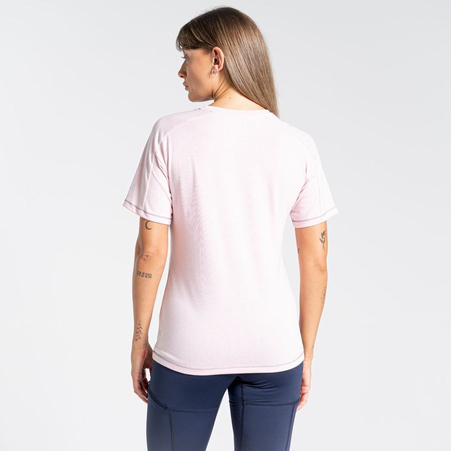 T Shirts Craghoppers Dynamic Corta Sleeved Rose Femme | UYP-0849064