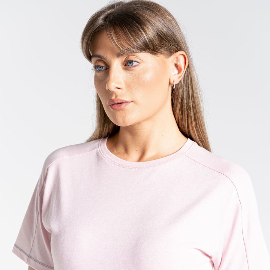 T Shirts Craghoppers Dynamic Corta Sleeved Rose Femme | UYP-0849064