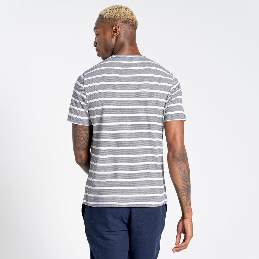 T Shirts Craghoppers Nosibotanical Sten Corta Sleeved Bleu Bleu Marine Stripes Homme | ZPY-8783243