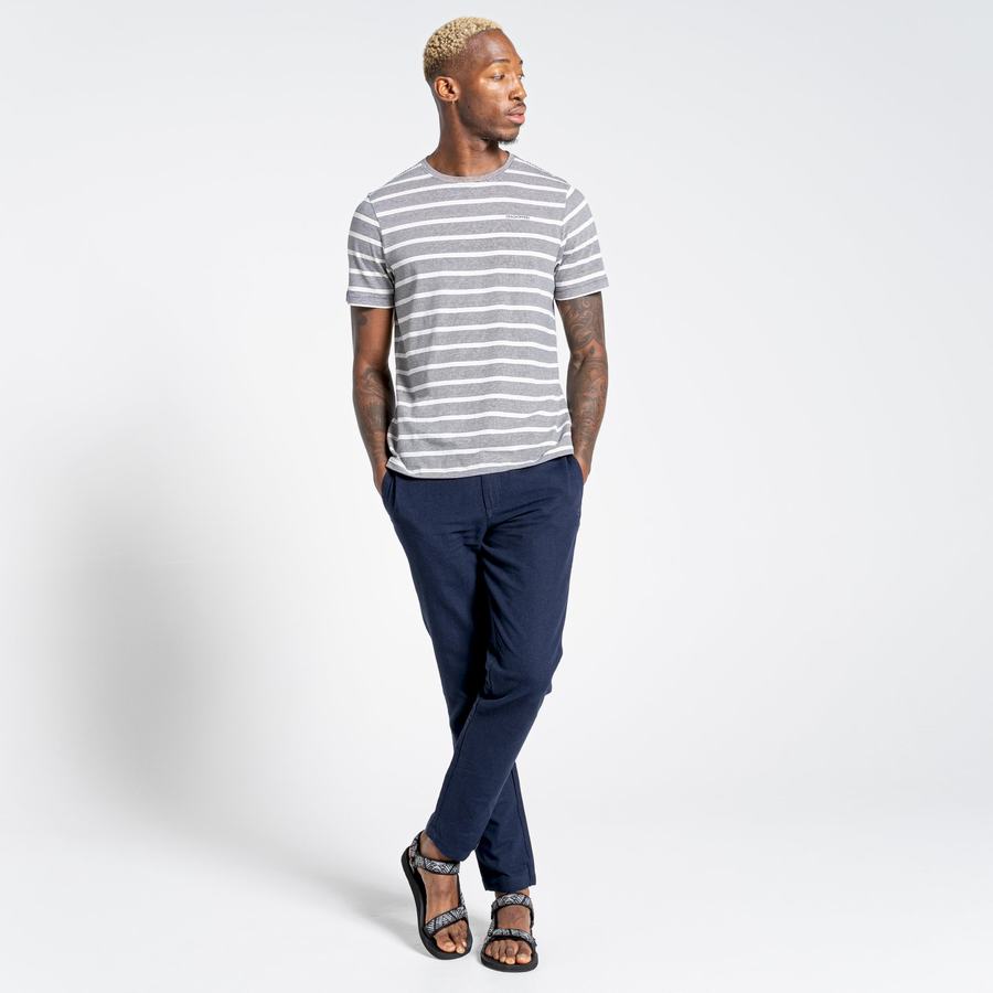 T Shirts Craghoppers Nosibotanical Sten Corta Sleeved Bleu Bleu Marine Stripes Homme | ZPY-8783243