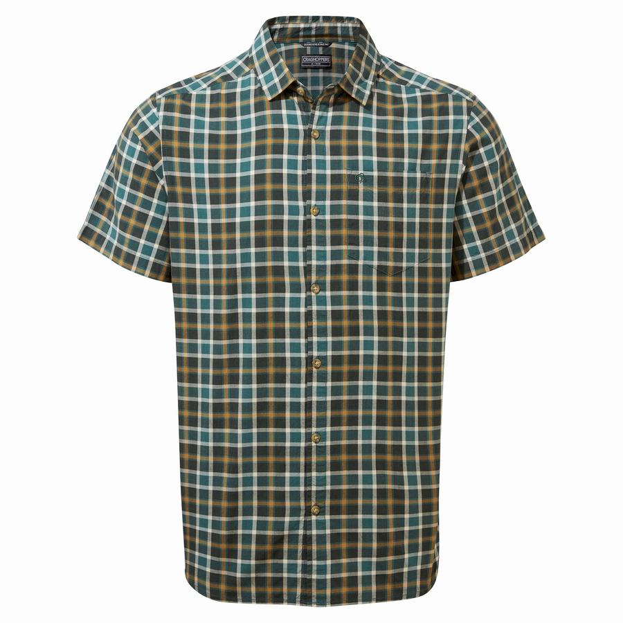 Chemises Craghoppers Menlo Corta Sleeved Vert Homme | DDQ-4584815