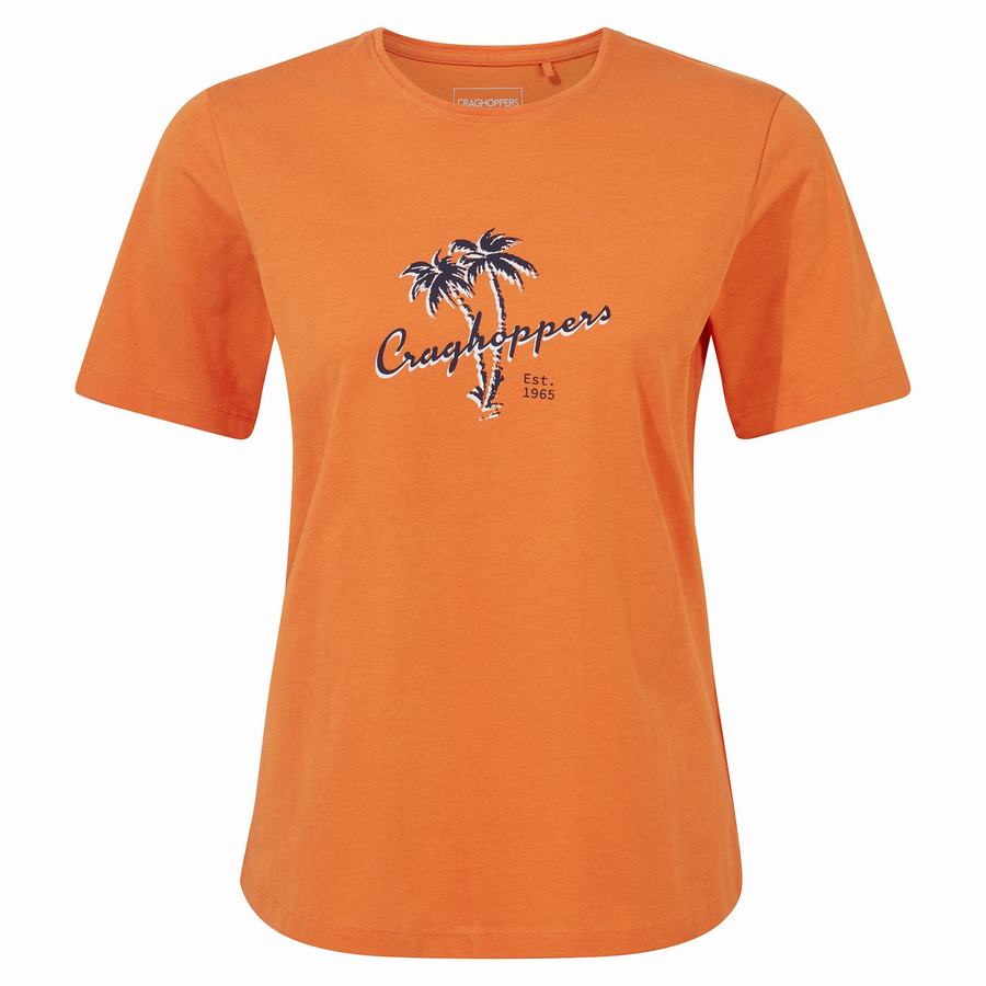 T Shirts Craghoppers Ally Corta Sleeved Orange Femme | TEU-1097632