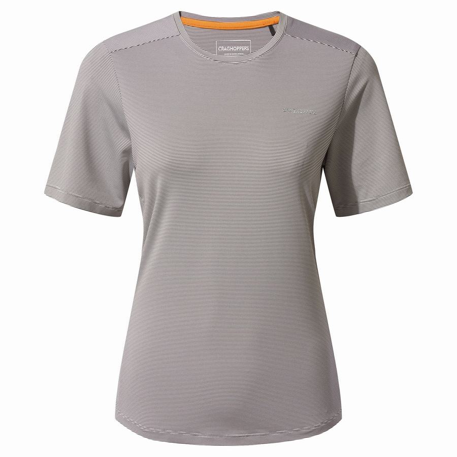 T Shirts Craghoppers Aliso Corta Sleeved Grise Femme | EMT-0319596