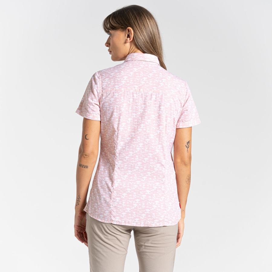 Chemises Craghoppers NosiLife Tillia Corta Sleeved Rose Femme | VDS-1680977