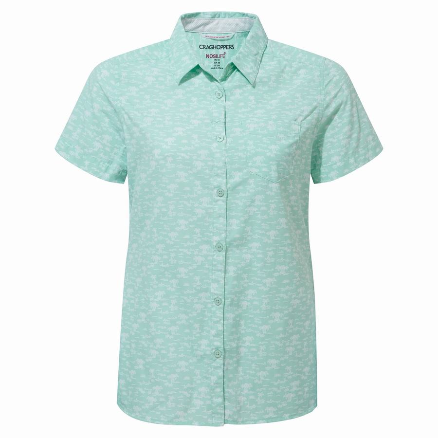 Chemises Craghoppers NosiLife Tillia Corta Sleeved Vert Femme | ADK-4530543