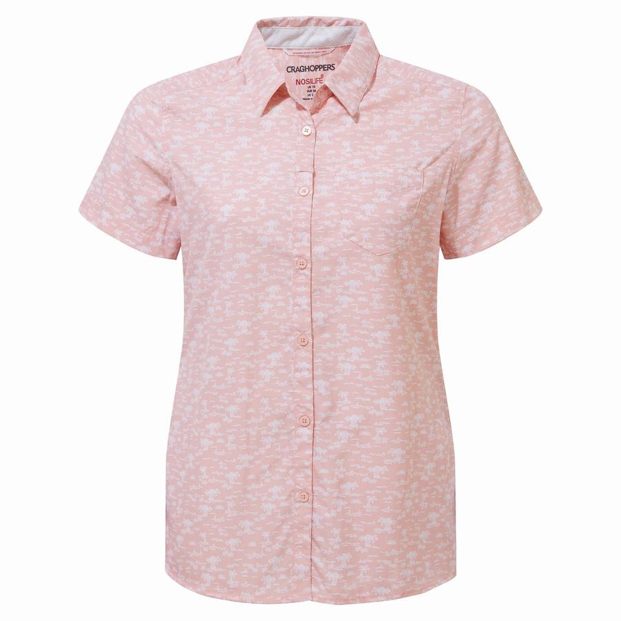 Chemises Craghoppers NosiLife Tillia Corta Sleeved Rose Femme | VDS-1680977